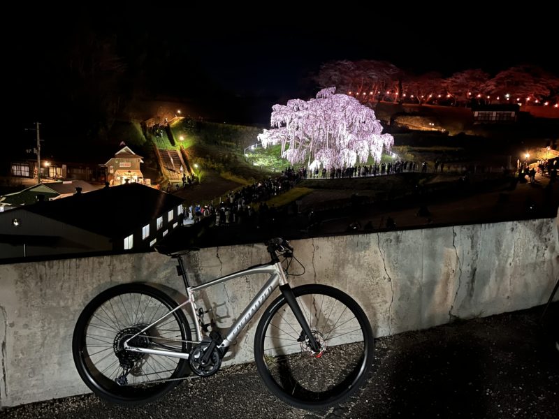 桜が見頃！レンタル電動スポーツバイクでお花見はいかがですか？