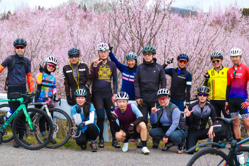 今しか見れない梅や桜を堪能！恒例のお花見サイクリング開催しました！